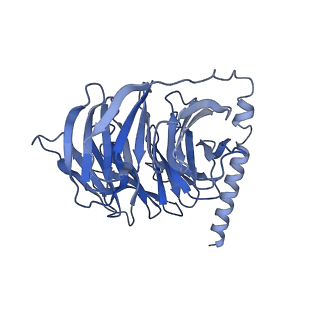 35913_8j18_B_v1-1
Cryo-EM structure of the 3-OH-C12-bound GPR84 receptor-Gi complex