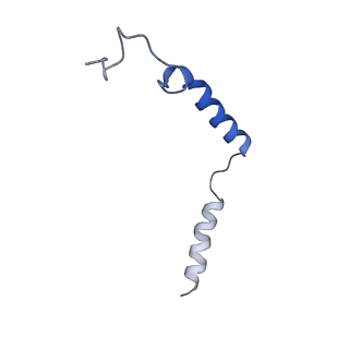35913_8j18_G_v1-1
Cryo-EM structure of the 3-OH-C12-bound GPR84 receptor-Gi complex