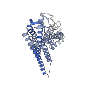 35913_8j18_R_v1-1
Cryo-EM structure of the 3-OH-C12-bound GPR84 receptor-Gi complex