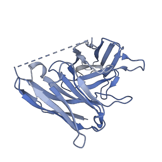 35913_8j18_S_v1-1
Cryo-EM structure of the 3-OH-C12-bound GPR84 receptor-Gi complex