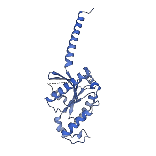 35914_8j19_A_v1-1
Cryo-EM structure of the LY237-bound GPR84 receptor-Gi complex