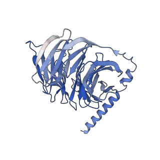 35914_8j19_B_v1-1
Cryo-EM structure of the LY237-bound GPR84 receptor-Gi complex