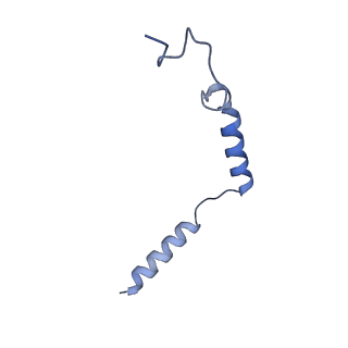 35914_8j19_G_v1-1
Cryo-EM structure of the LY237-bound GPR84 receptor-Gi complex