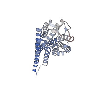 35914_8j19_R_v1-1
Cryo-EM structure of the LY237-bound GPR84 receptor-Gi complex