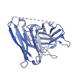 35914_8j19_S_v1-1
Cryo-EM structure of the LY237-bound GPR84 receptor-Gi complex