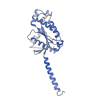 35915_8j1a_A_v1-1
Cryo-EM structure of the GPR84 receptor-Gi complex with no ligand modeled