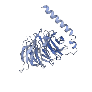 35915_8j1a_B_v1-1
Cryo-EM structure of the GPR84 receptor-Gi complex with no ligand modeled