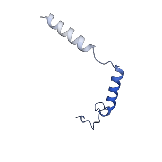 35915_8j1a_G_v1-1
Cryo-EM structure of the GPR84 receptor-Gi complex with no ligand modeled