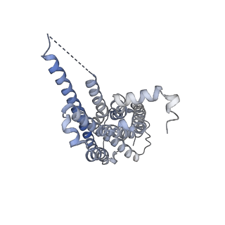 35915_8j1a_R_v1-1
Cryo-EM structure of the GPR84 receptor-Gi complex with no ligand modeled