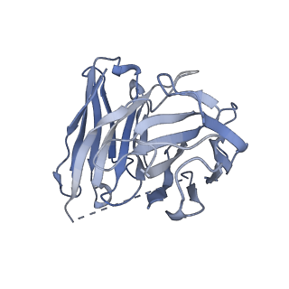 35915_8j1a_S_v1-1
Cryo-EM structure of the GPR84 receptor-Gi complex with no ligand modeled