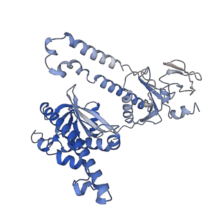35926_8j1j_A_v1-0
Cryo-EM structure of the AsCas12f-YHAM-sgRNAS3-5v7-target DNA