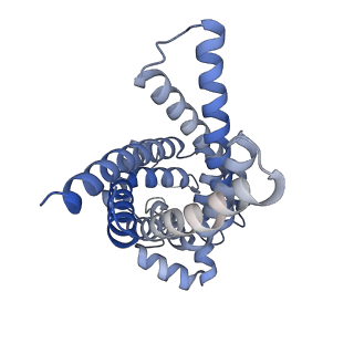35928_8j1n_A_v1-3
Structure of human UCP1 in the DNP-bound state
