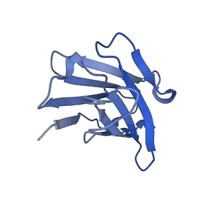 35930_8j1q_B_v1-1
CryoEM structure of SARS CoV-2 RBD and Aptamer complex