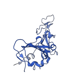 35930_8j1q_C_v1-1
CryoEM structure of SARS CoV-2 RBD and Aptamer complex