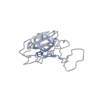 35932_8j1t_F_v1-1
Local refined cryo-EM structure of Omicron BA.5 RBD in complex with 8-9D Fab