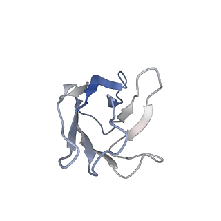 35932_8j1t_K_v1-1
Local refined cryo-EM structure of Omicron BA.5 RBD in complex with 8-9D Fab