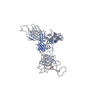 35934_8j1v_A_v1-1
Cryo-EM structure of SARS-CoV2 Omicron BA.5 spike in complex with 8-9D Fabs