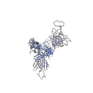 35934_8j1v_B_v1-1
Cryo-EM structure of SARS-CoV2 Omicron BA.5 spike in complex with 8-9D Fabs