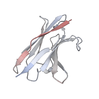 35934_8j1v_C_v1-1
Cryo-EM structure of SARS-CoV2 Omicron BA.5 spike in complex with 8-9D Fabs