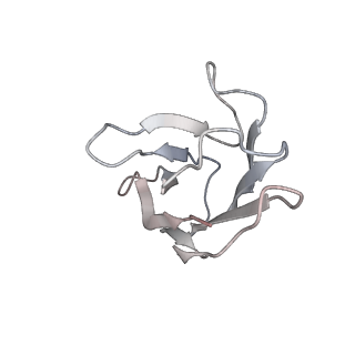 35934_8j1v_D_v1-1
Cryo-EM structure of SARS-CoV2 Omicron BA.5 spike in complex with 8-9D Fabs