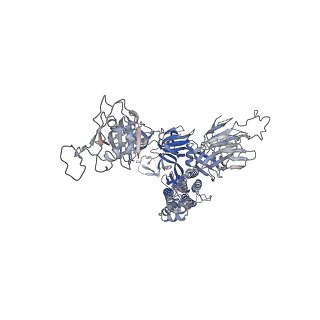 35934_8j1v_E_v1-1
Cryo-EM structure of SARS-CoV2 Omicron BA.5 spike in complex with 8-9D Fabs