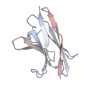 35934_8j1v_H_v1-1
Cryo-EM structure of SARS-CoV2 Omicron BA.5 spike in complex with 8-9D Fabs