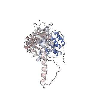 5391_3j1b_B_v1-2
Cryo-EM structure of 8-fold symmetric rATcpn-alpha in apo state