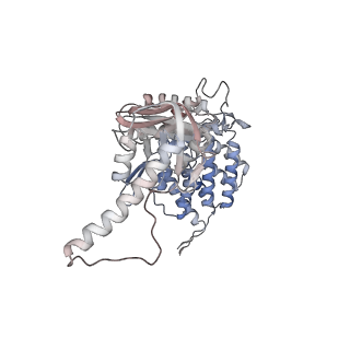 5391_3j1b_C_v1-2
Cryo-EM structure of 8-fold symmetric rATcpn-alpha in apo state