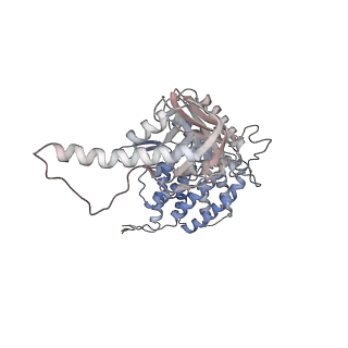 5391_3j1b_D_v1-2
Cryo-EM structure of 8-fold symmetric rATcpn-alpha in apo state