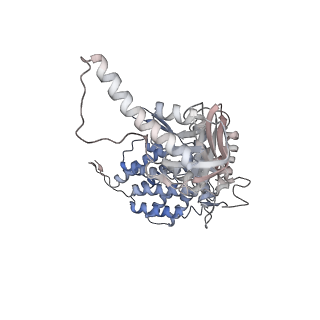 5391_3j1b_E_v1-2
Cryo-EM structure of 8-fold symmetric rATcpn-alpha in apo state