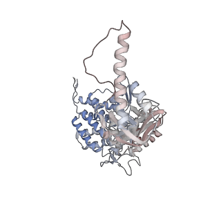 5391_3j1b_F_v1-2
Cryo-EM structure of 8-fold symmetric rATcpn-alpha in apo state