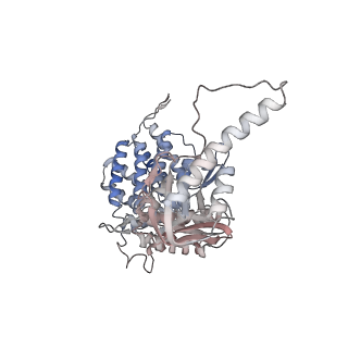 5391_3j1b_G_v1-2
Cryo-EM structure of 8-fold symmetric rATcpn-alpha in apo state