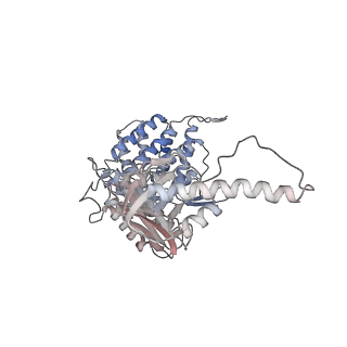 5391_3j1b_H_v1-2
Cryo-EM structure of 8-fold symmetric rATcpn-alpha in apo state