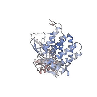 5391_3j1b_I_v1-2
Cryo-EM structure of 8-fold symmetric rATcpn-alpha in apo state