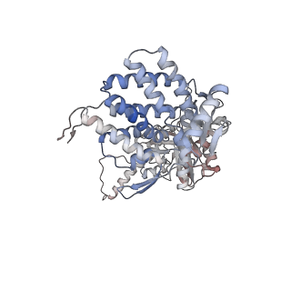 5391_3j1b_K_v1-2
Cryo-EM structure of 8-fold symmetric rATcpn-alpha in apo state