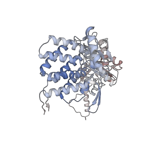 5391_3j1b_L_v1-2
Cryo-EM structure of 8-fold symmetric rATcpn-alpha in apo state