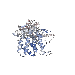 5391_3j1b_N_v1-2
Cryo-EM structure of 8-fold symmetric rATcpn-alpha in apo state