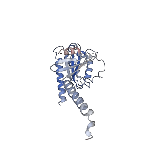 35941_8j21_C_v1-0
Cryo-EM structure of FFAR3 complex bound with butyrate acid