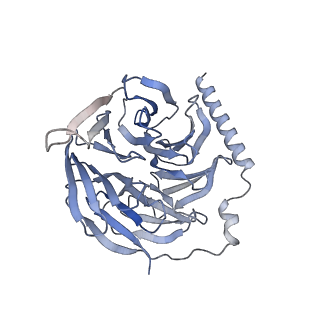 35942_8j22_A_v1-0
Cryo-EM structure of FFAR2 complex bound with TUG-1375