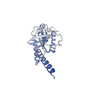 35942_8j22_B_v1-0
Cryo-EM structure of FFAR2 complex bound with TUG-1375