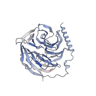 35944_8j24_B_v1-0
Cryo-EM structure of FFAR2 complex bound with acetic acid