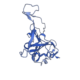 35945_8j26_C_v1-1
CryoEM structure of SARS CoV-2 RBD and Aptamer complex