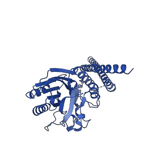 35948_8j2f_A_v1-0
Human neutral shpingomyelinase
