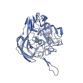 5495_3j26_A_v1-5
The 3.5 A resolution structure of the Sputnik virophage by cryo-EM