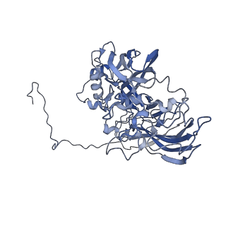 5495_3j26_C_v1-5
The 3.5 A resolution structure of the Sputnik virophage by cryo-EM