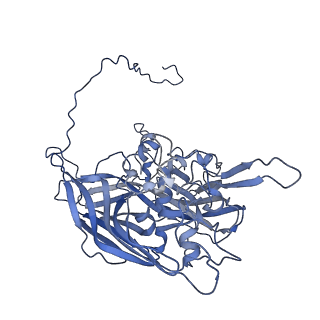 5495_3j26_F_v1-5
The 3.5 A resolution structure of the Sputnik virophage by cryo-EM