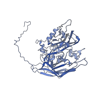 5495_3j26_I_v1-5
The 3.5 A resolution structure of the Sputnik virophage by cryo-EM