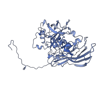 5495_3j26_K_v1-5
The 3.5 A resolution structure of the Sputnik virophage by cryo-EM