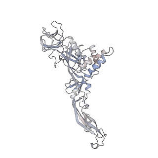 5520_3j27_A_v1-3
CryoEM structure of Dengue virus