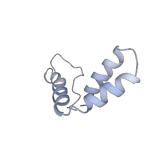 5520_3j27_B_v1-3
CryoEM structure of Dengue virus